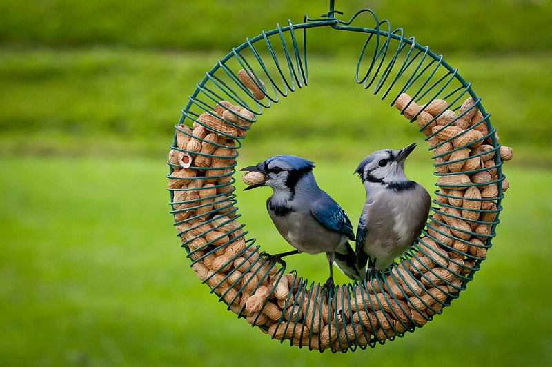 Table For Two.jpg